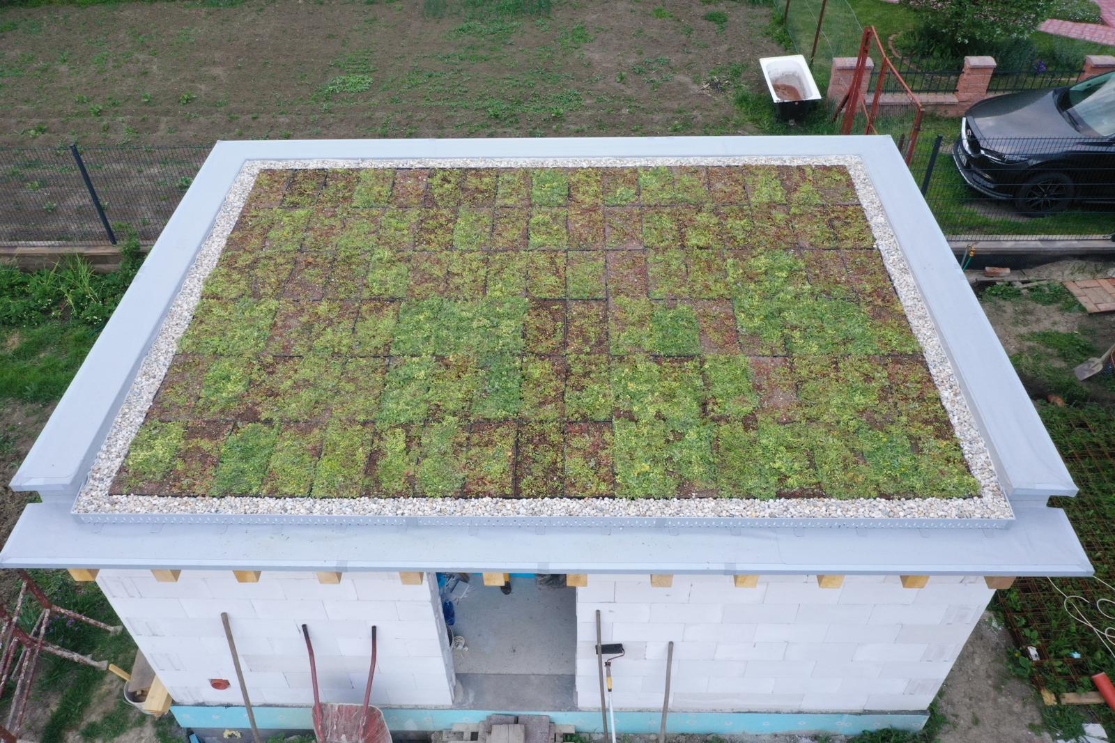 Detail zelenej strechy s vegetačnou vrstvou – MyRoof