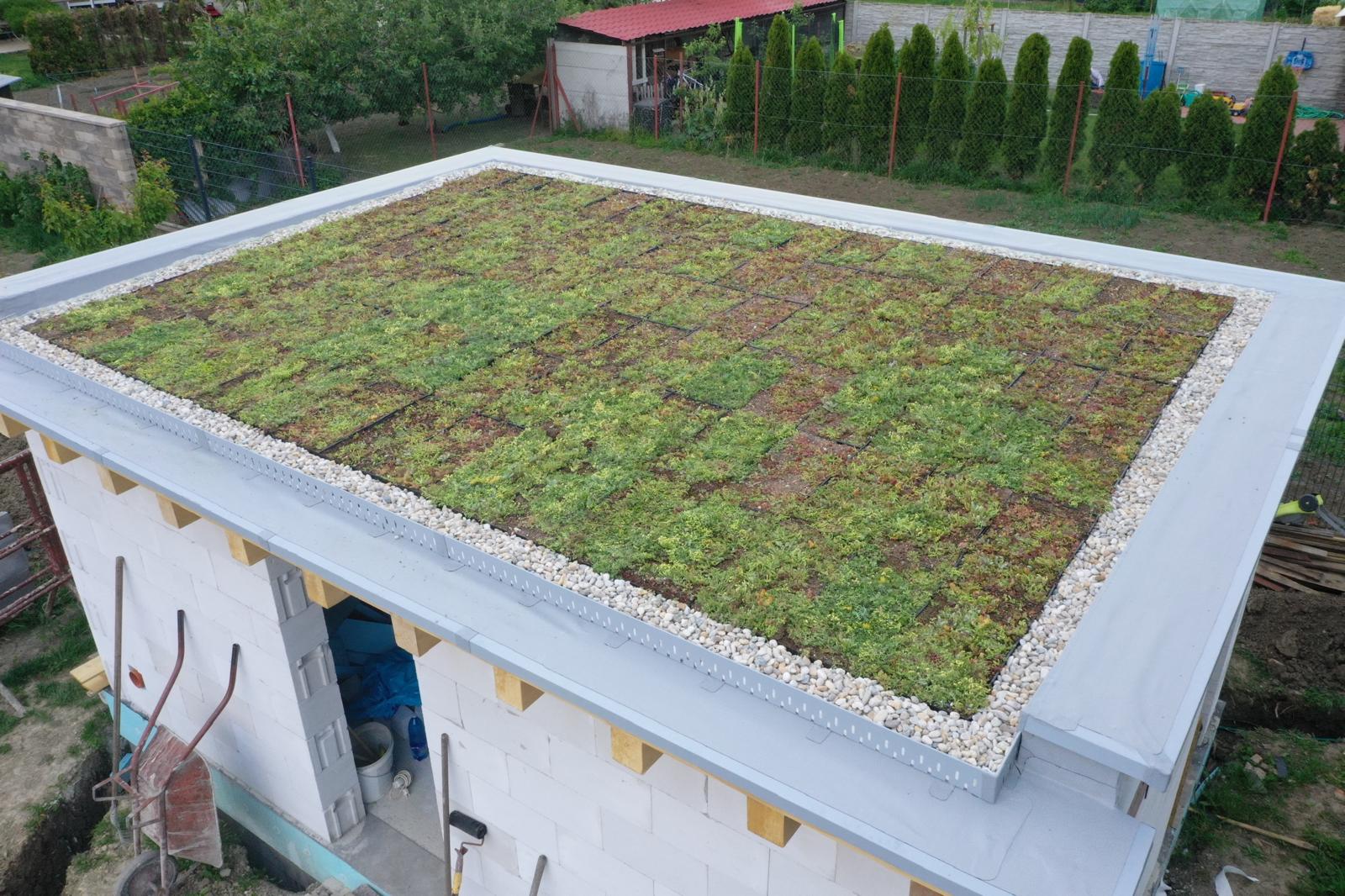 Zelená strecha na bytovom dome – ekologické riešenie MyRoof